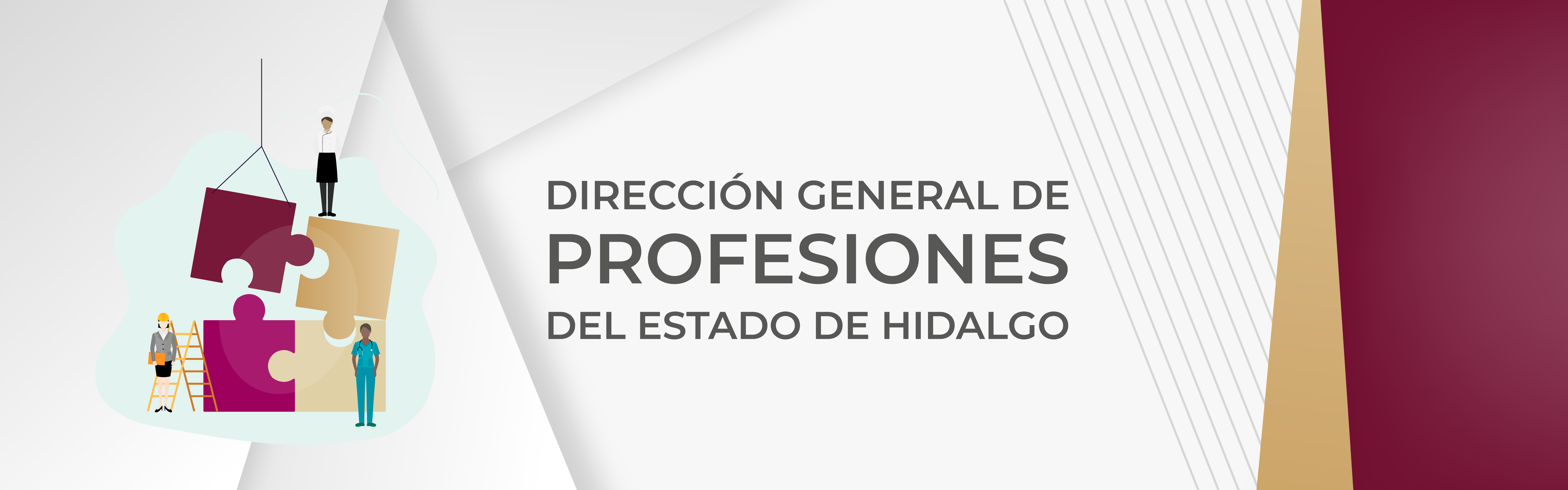 direcciógn general de profesiones